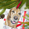Paw Shaped Metal Ornament - Image 7