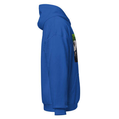 Katara and Sherlock Unisex Hoodie - Image 24