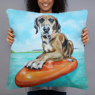 Diego BIG Pillow
