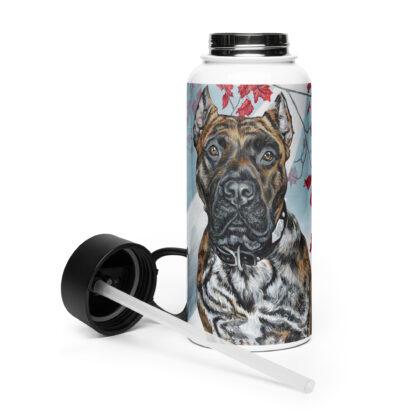 Stainless Steel Water Bottle with a Straw Lid - Image 4